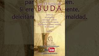 Buda  Sutra 13 Del Audiolibro Los 53 Sutras de Buda [upl. by Mitzl853]