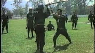 Hatsumi Soke teach techniques Togakure ryu kenjutsu [upl. by Heng]