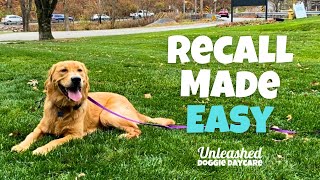 RECALL MADE EASY Training Your Dog to Listen Every Single Time [upl. by Akram]