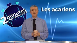 Les acariens  2 minutes pour comprendre [upl. by Baggott]