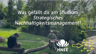 Was gefällt dir am Studium Strategisches Nachhaltigkeitsmanagement [upl. by Yrgoerg]