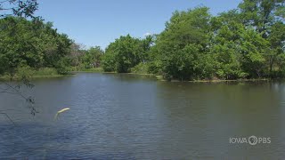 Oxbows  Iowa Science Phenomena [upl. by Anyaled]