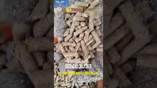 เครื่องอัดเม็ดชีวมวลขนาดเล็ก Mini Pellet MON40 กำลังผลิตสูงสุด 600 กกชม  ENERGY789 [upl. by Thora]