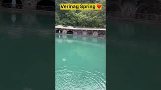 Verinag Spring  Origin Of Jhelum River  Kashmir [upl. by Schonfield]