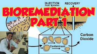 BIOREMEDIATION PART 1  TAMIL  உயிரி வழி திருத்தம்  DURAI  TIRUNELVELI  ALWARKURICHI  BIOTECH [upl. by Anerys25]