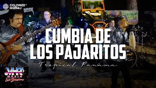 Tropical Panama  Cumbia De Los Pajaritos En Vivo [upl. by Iramaj895]