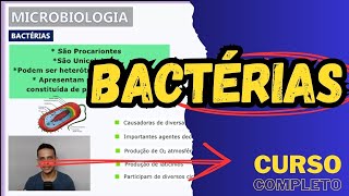 BACTÉRIAS  Características gerais  Microbiologia  Aula 7 [upl. by Stilu]