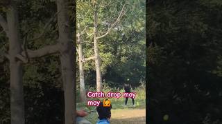 Catch drop moy moy 🤪👿🙆😈🤪funny comedy cricket [upl. by Haseefan]