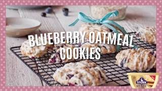 How to Make Delicious Blueberry Oatmeal Cookies [upl. by Eelnyl162]