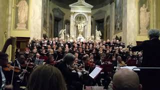 Frammento del concerto MusiCuMozart a Nerviano [upl. by Sivram]