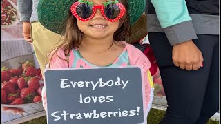 California Strawberry Commission at the 2024 Ventura County California Strawberry Festival [upl. by Hamer]