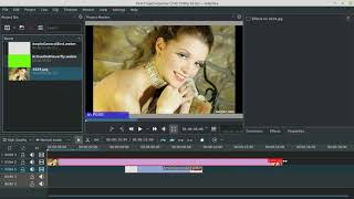 Kdenlive Video Editor Tutorial Basic in Tamil [upl. by Esej]