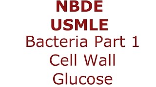 Bacteria Gram  vs Gram  Cell Wall  Glucose Metabolism NBDE amp USMLE [upl. by Moretta]