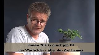 Bonsai 202048  quick job 4  der Wacholder  über das Ziel hinaus [upl. by Valida]