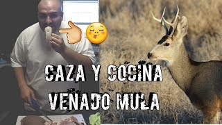 CACERIA EXITOSA DE VENADO BURA🔥  MULE DEER HUNT ARIZONA 21 🦌🐗 [upl. by Nosnevets]