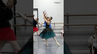 👏🏼 ballerinas ballet ballerina balletdancer dancer dance balletdance viral fyp shorts [upl. by Corette]