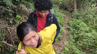 Harvesting yamswurzel and Harvest bamboo shoots [upl. by Judus]