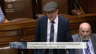 Deputy Michael HealyRae speech from 25 Sep 2024 [upl. by Anaiq]