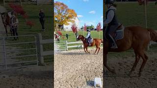 🍂🍁 Fall Ride On Mister Fish shorts equestrian horse [upl. by Dymoke]