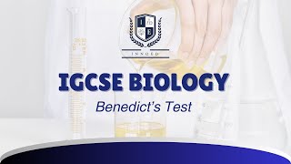 Benedicts Test Practical Video  by Innovative Education [upl. by Arquit]