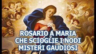 Rosario a Maria che scioglie i nodi  Misteri Gaudiosi [upl. by Cloutman]