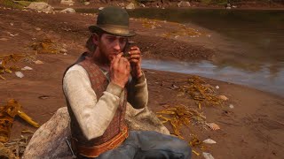 Antagonize Sean with harmonica Red Dead Redemption 2 [upl. by Elephus]