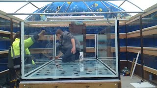 Building a monster aquarium 700gal Unedited [upl. by Irv]