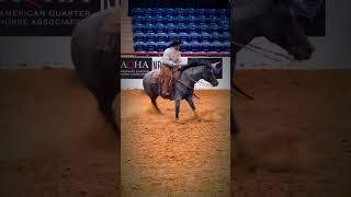 DEEPER SHADE OF BLU2016 Stallion 2024 NRCHA Cowboy Class high rein amp cow score [upl. by Araec252]