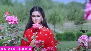 Humrahi Mere Humrahi  Audio Song  Do Dilon Ki Dastaan  Lata Mangeshkar Suresh Wadkar [upl. by Hgieliak]