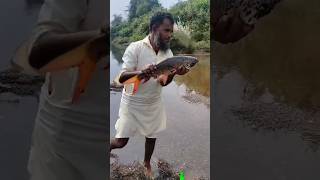 fish big rahufishfeeder fish feeder fishing river fishing big catch [upl. by Aiciruam972]