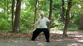 Chen Taiji quan 陳式太極拳 Marin Spivack traditional 5 sequences of Yi Lu [upl. by Inwat]