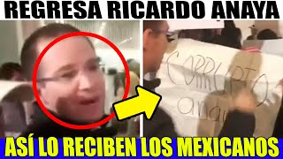 🚨REGRESA EL INFELIZ A MÉXICO LO RECIBEN COMO LA 🐀 QUE ES 🚨 [upl. by Nylorac]