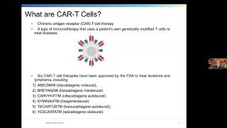 CAR T Approaches to HIV Cure [upl. by Puglia201]