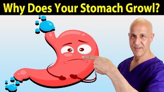 Why Does Your Stomach Growl The Science of Hunger Explained Dr Mandell [upl. by Wearing]