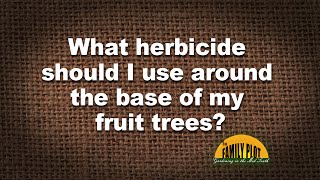 QampA  What herbicide should I use around fruit trees [upl. by Atterbury]