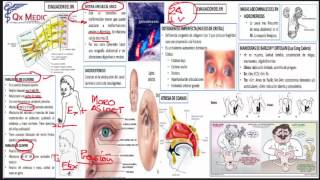 QX MEDIC NEONATOLOGIA SUPERINTENSIVO FULL RESUMEN [upl. by Mord168]