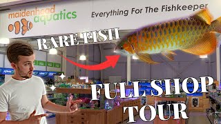 MAIDENHEAD AQUATICS FARNHAM  SHOP TOUR [upl. by Eppes]