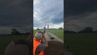 Uncle J Busting Pheasants  Shiloh Kennels amp Shooting Preserve in Elba Alabama [upl. by Airbmak686]