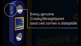 Crosby Straightpoint Dataplate [upl. by Adnilreb]