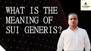 What is the meaning of Sui Generis [upl. by Ynaffital]