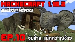 Machecraft 1102 EP10 ตะลุยจับช้างสัตว์ตัวใหญ่แสนน่ารักMinecraft Modpack [upl. by Jessi771]