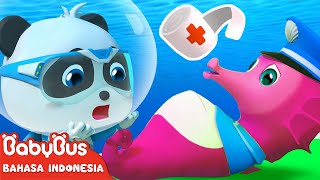 Bayi Panda Ajaib Membantu Kuda Laut Melahirkan Anak  Kartun Anakanak  BabyBus Bahasa Indonesia [upl. by Lark]