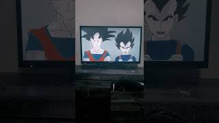 Goku And Vegeta Cornerstone arts pt2 dragonball [upl. by Alic56]