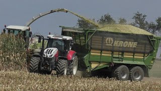 Maisernte 2024  drei Generation Steyr am Abfahren  Steyr  Fendt  Massey Ferguson [upl. by Sena665]