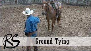 How to Saddle a Horse Western Style  Jeffers Equine [upl. by Ariay]