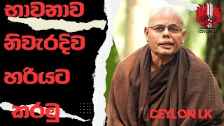 Ven Madawala Upali Theroභාවනාව නිවැරදිව සිදු කරමු උඩු සිත සහ යටි සිත Ep 02 [upl. by Ennad982]