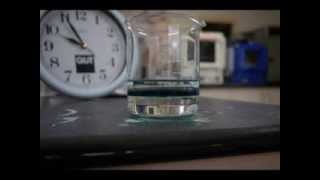 Time Lapse of Polyaniline Synthesis [upl. by Bolling]