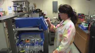 UMass Lowell Chemistry for Graduate Students 313 [upl. by Ynnol]