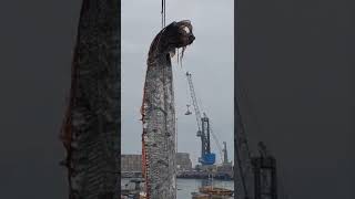 Spectacular Footage Shows Crane Reeling 16FootLong Oarfish in Chilean Port [upl. by Sterne]