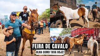 FEIRA DE CAVALO DE CARUARU PE TERÃ‡A FEIRA 130824 nordeste [upl. by Cronin]